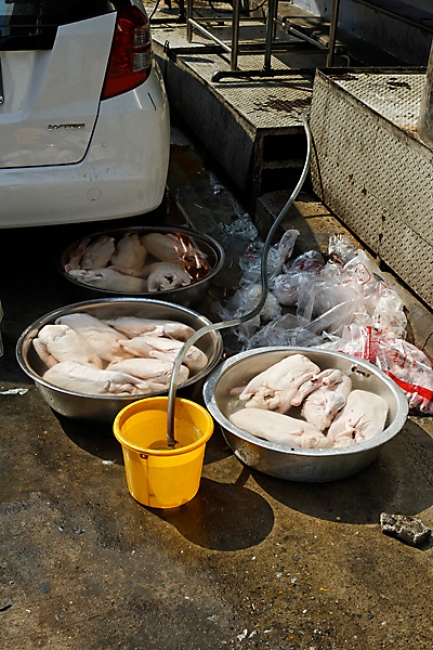 Nouvel an chinois 2011-004